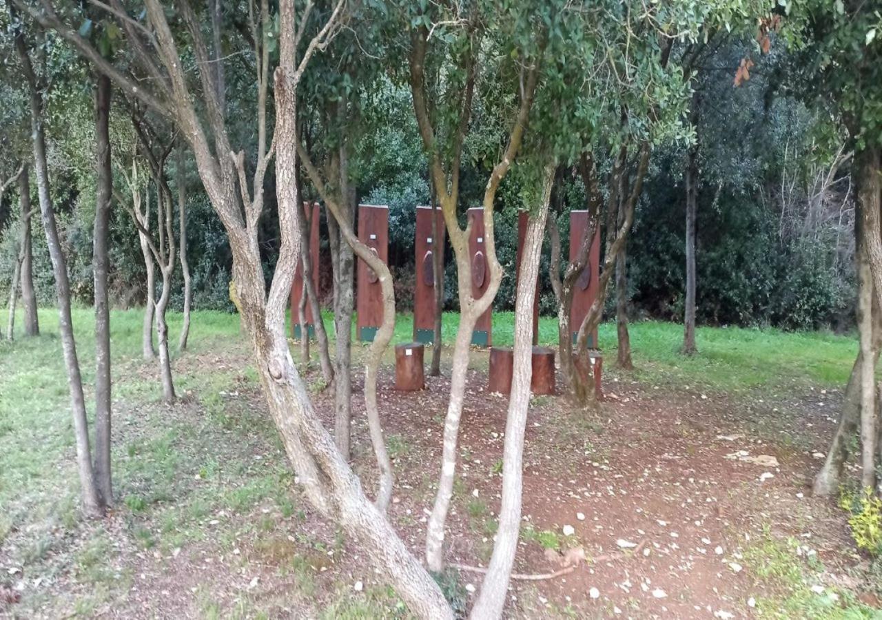 Apartmani Natasa Vrsar Dış mekan fotoğraf