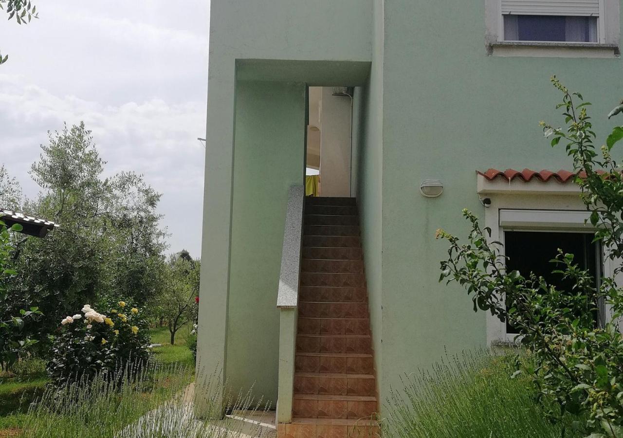 Apartmani Natasa Vrsar Dış mekan fotoğraf
