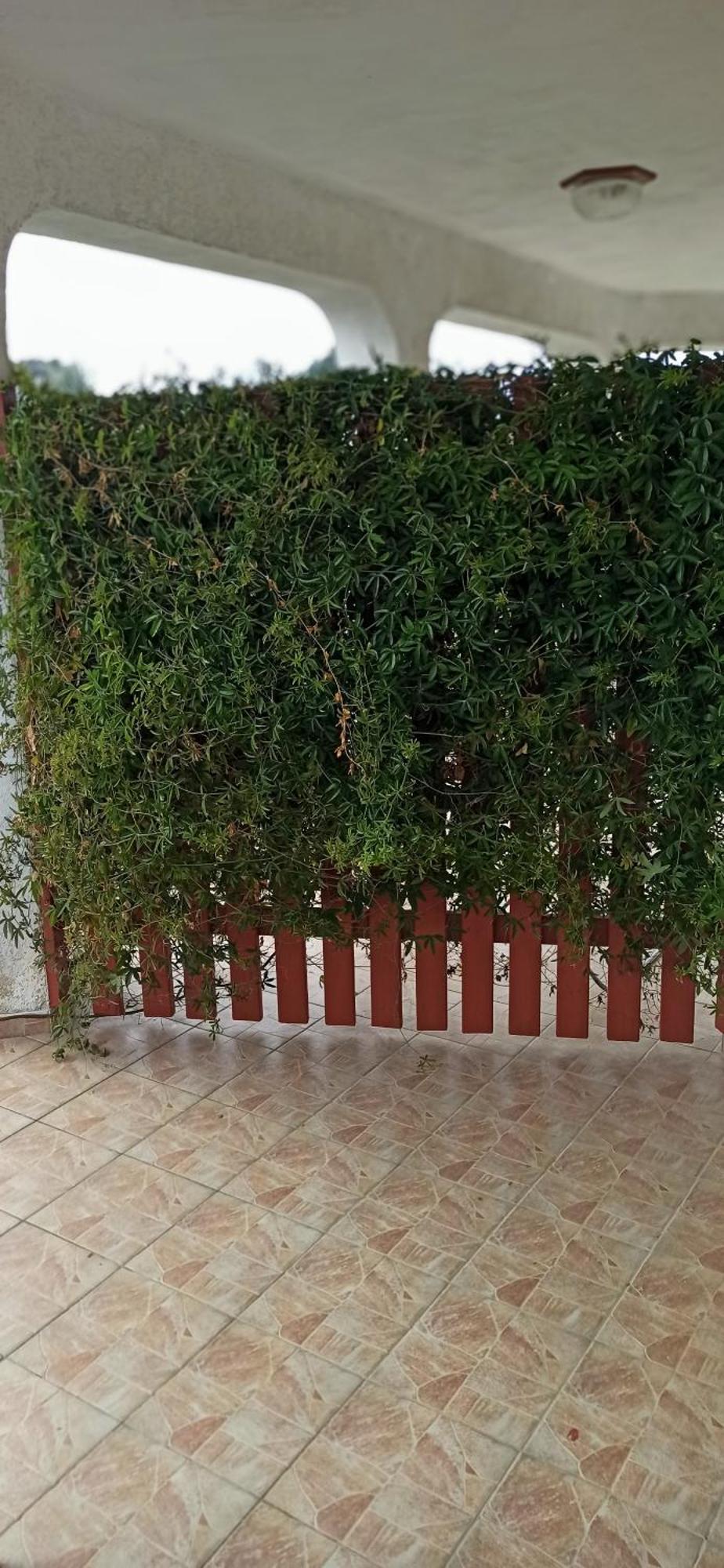 Apartmani Natasa Vrsar Dış mekan fotoğraf